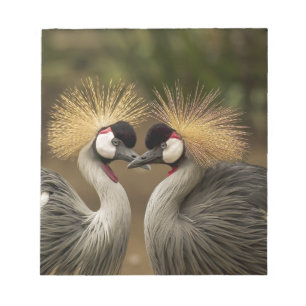 Grey Crowned Crane Notepad