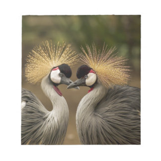 Grey Crowned Crane Notepad