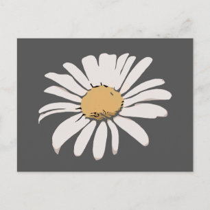 Grey Daisy Floral Postcard