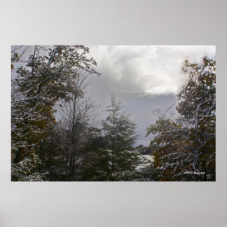 Grey Day Beauty Poster