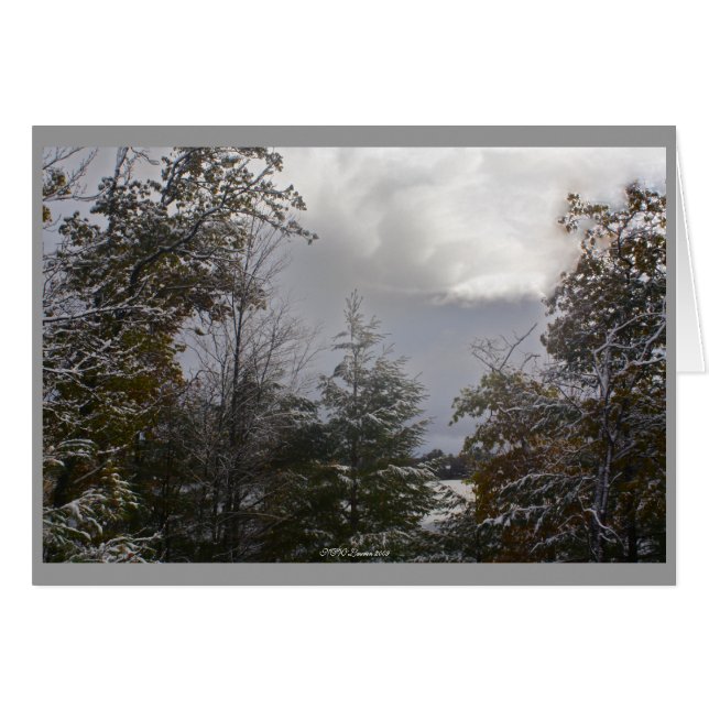 Grey Day Card (Front Horizontal)