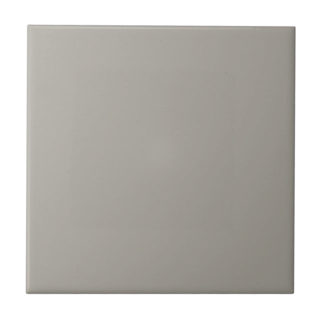 Grey Dorian Square Kitchen and Bathroom Ceramic Ti Ceramic Tile (Front)