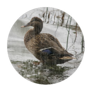 Grey duck on dark the lake cutting board