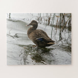 Grey duck on dark the lake jigsaw puzzle