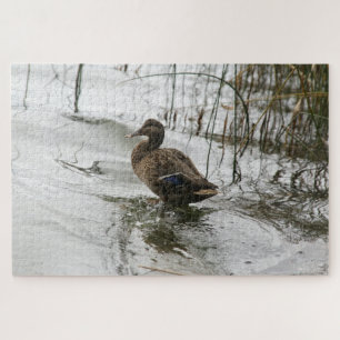 Grey duck on dark the lake jigsaw puzzle
