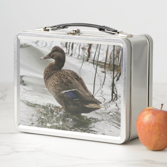 Grey duck on dark the lake metal lunch box (In Situ)