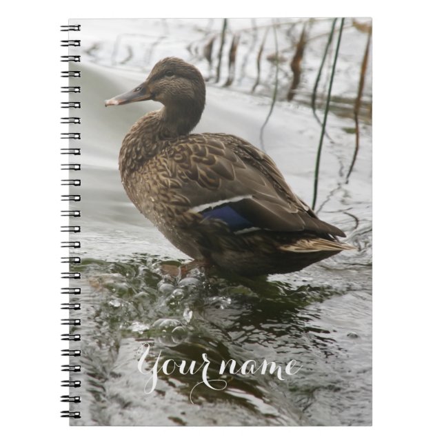 Grey duck on dark the lake notebook (Front)