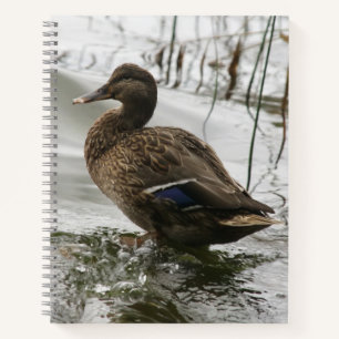 Grey duck on dark the lake notebook