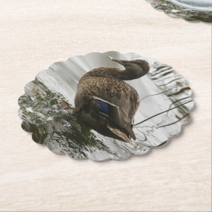 Grey duck on dark the lake paper coaster