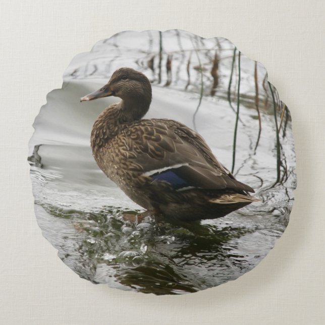 Grey duck on dark the lake round cushion (Front)