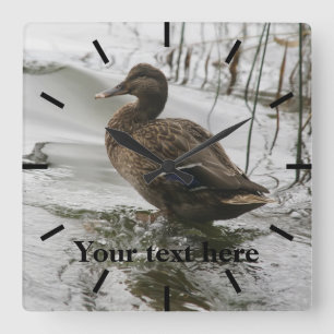 Grey duck on dark the lake square wall clock