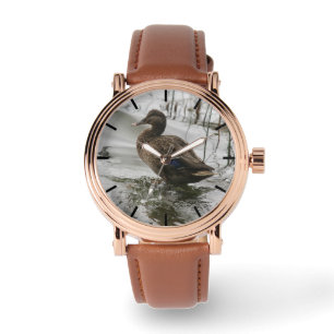 Grey duck on dark the lake watch