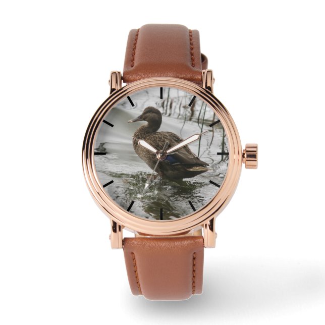 Grey duck on dark the lake watch (Front)