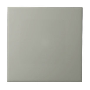 Grey Escape Square Kitchen and Bathroom Ceramic Tile