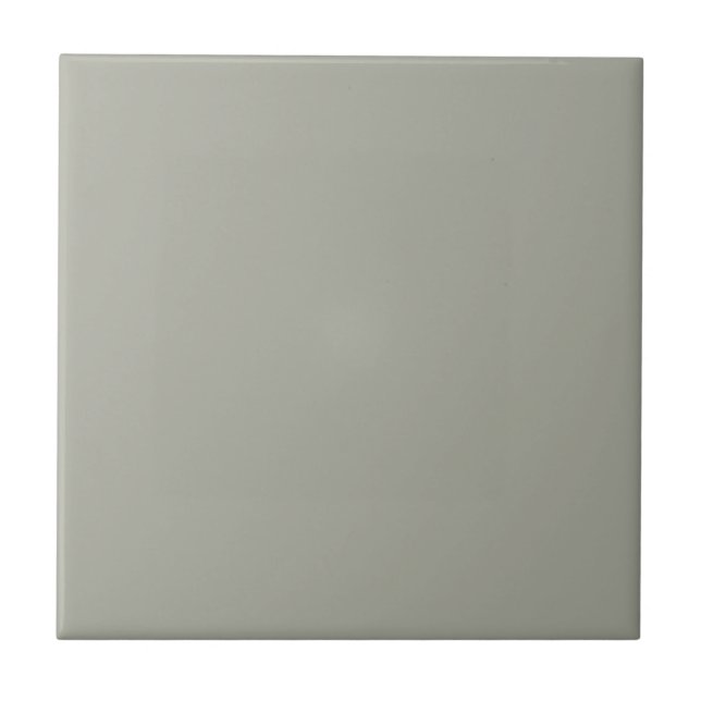 Grey Escape Square Kitchen and Bathroom Ceramic Tile (Front)