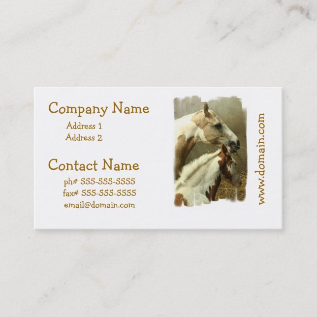 Grey Eventing Horse Business Cards (Front)