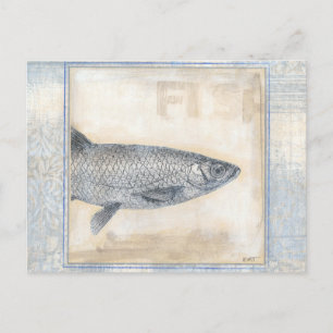 Grey Fish on Beige Background Postcard