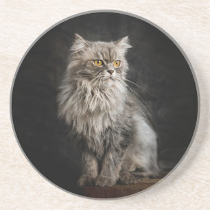Grey Fluffy Cat Coaster