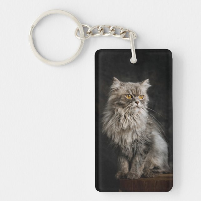 Grey Fluffy Cat  Key Ring (Front)
