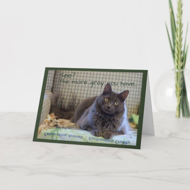 Grey Fluffy Cat on Chair Card (Front)
