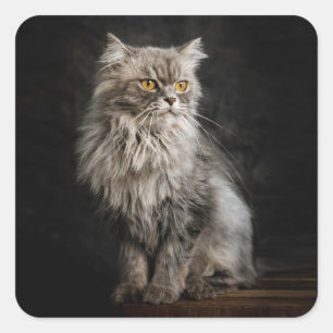 Grey Fluffy Cat Square Sticker