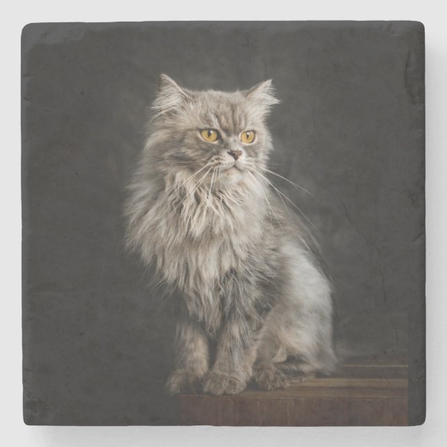 Grey Fluffy Cat  Stone Coaster (Front)