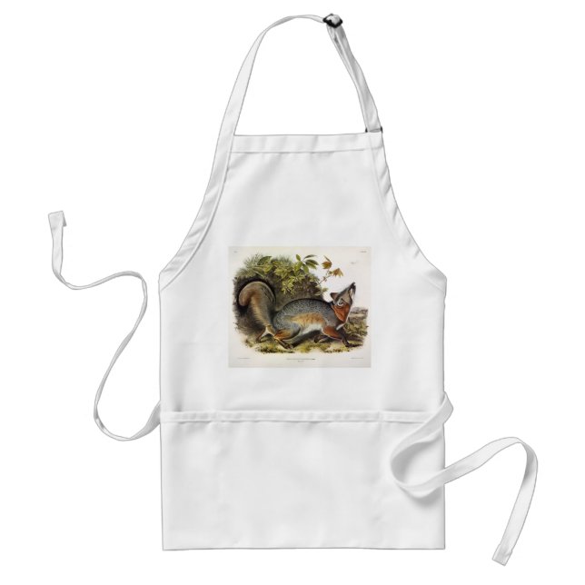 Grey Fox / Grey Fox Audubon's American Quadrupeds Standard Apron (Front)