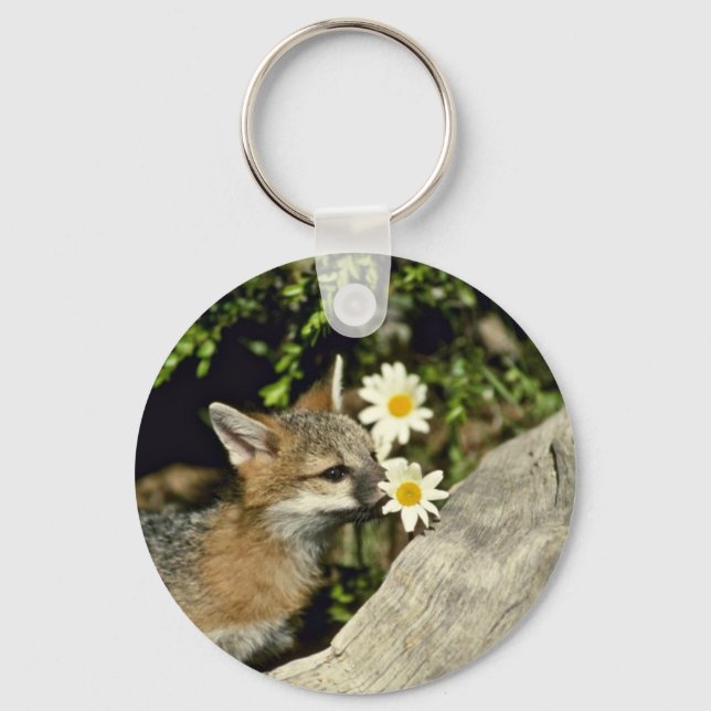 Grey Fox-young kit sniffing/eating flower Key Ring (Front)