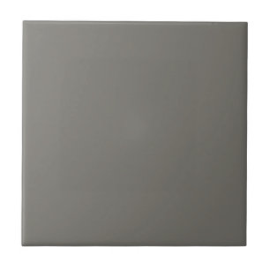 Grey Gauntlet Square Kitchen and Bathroom Ceramic Tile