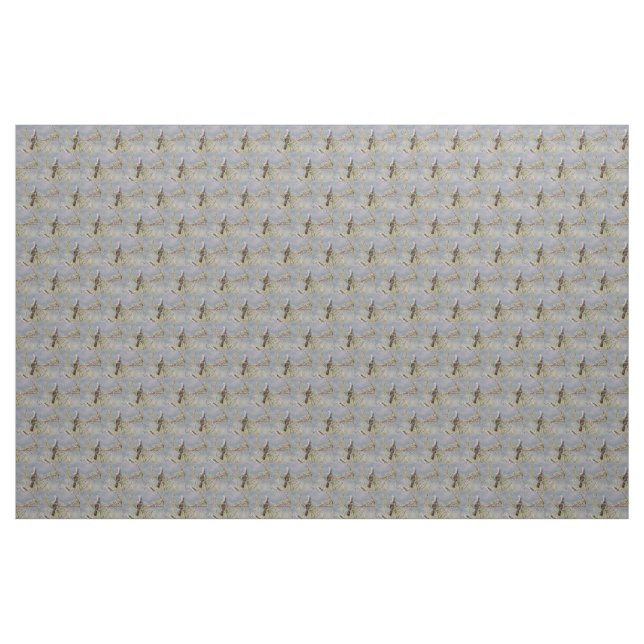 Grey Go-away bird Fabric (Yard)