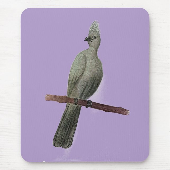 Grey-go-away bird pencil drawing mouse pad (Front)