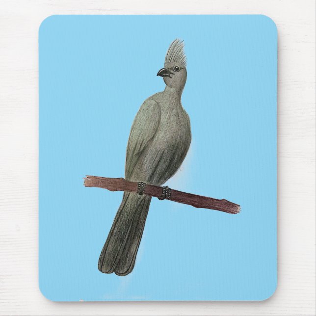 Grey-go-away bird pencil drawing mouse pad (Front)