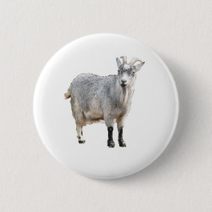 Grey Goat Farm Animal, Cute Nature Photography 6 Cm Round Badge