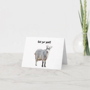 Grey Goat Farm Animal, Cute Nature Photography Card