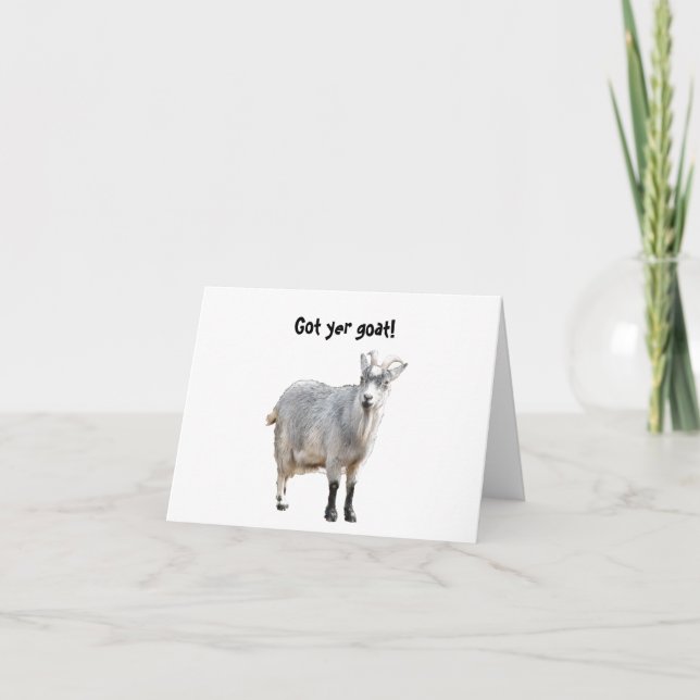 Grey Goat Farm Animal, Cute Nature Photography Card (Front)