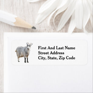 Grey Goat Farm Animal, Cute Nature Photography Return Address Label