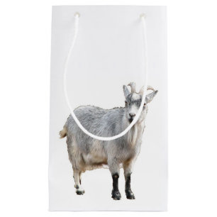 Grey Goat Farm Animal, Cute Nature Photography Small Gift Bag