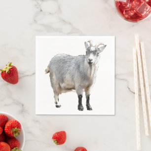 Grey Goat Farm Animal Nature Photograph Napkin