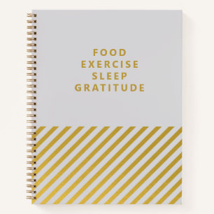 Grey Gold Stripes Minimalist Gratitude Journal