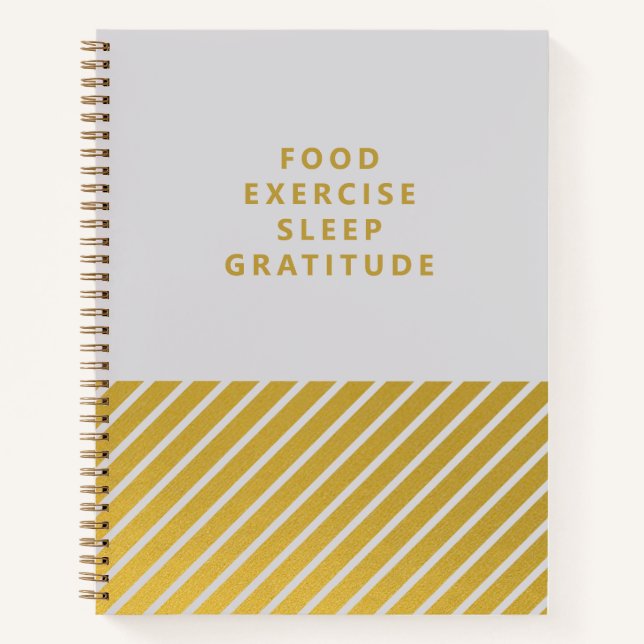 Grey Gold Stripes Minimalist Gratitude Journal (Front)