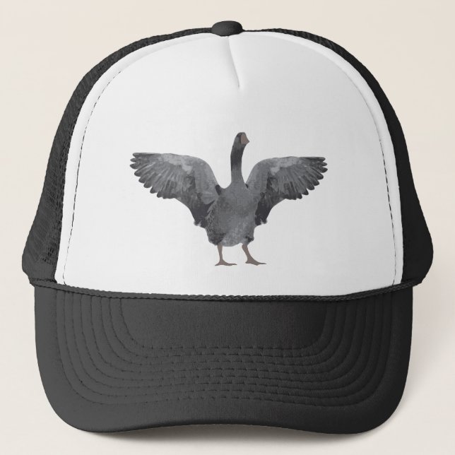 Grey goose cap (Front)
