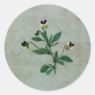 Grey Green with Botanical Violas Classic Round Sticker
