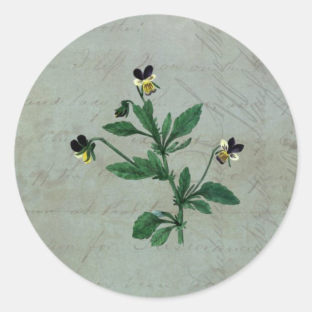 Grey Green with Botanical Violas Classic Round Sticker (Front)