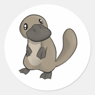 Grey/Grey Cartoon Platypus Classic Round Sticker