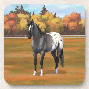 Grey Grulla Appaloosa Quarter Horse Stallion Coaster
