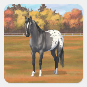 Grey Grulla Appaloosa Quarter Horse Stallion Square Sticker
