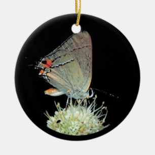 Grey Hairstreak Butterfly Ceramic Ornament
