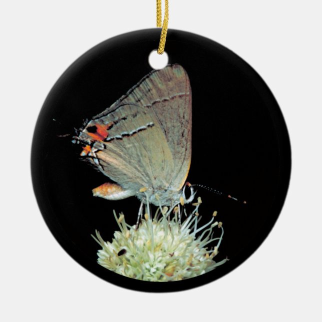 Grey Hairstreak Butterfly Ceramic Ornament (Front)