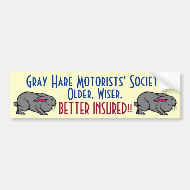 Grey Hare Motorists' Bumper Sticker (Front)