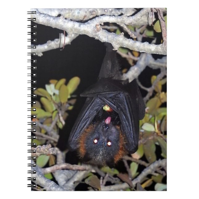 Grey-Headed Flying Fox Notebook (Front)
